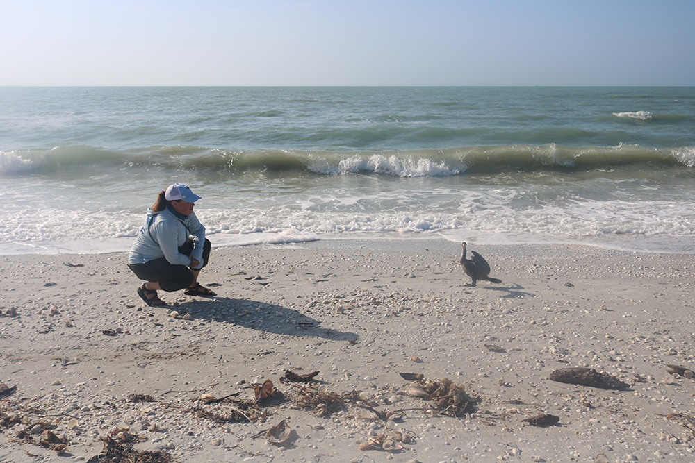 A woman in a ball cap and sandals kneels near the shore line looking across at a mid-sized bird before her.